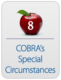 CobraSchool 8