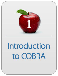 CobraSchool CobraTraining 1