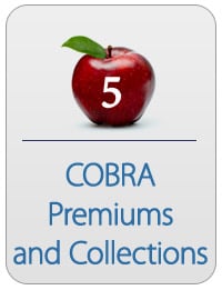 CobraSchool CobraTraining 5