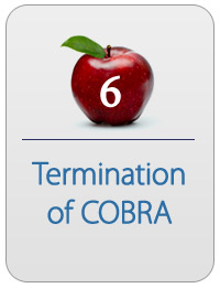 CobraSchool CobraTraining 6